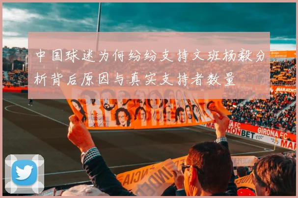 中国球迷为何纷纷支持文班杨毅分析背后原因与真实支持者数量