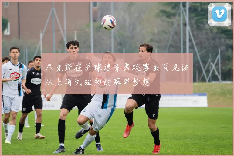 尼克斯在沪球迷齐聚观赛共同见证从上海到纽约的冠军梦想