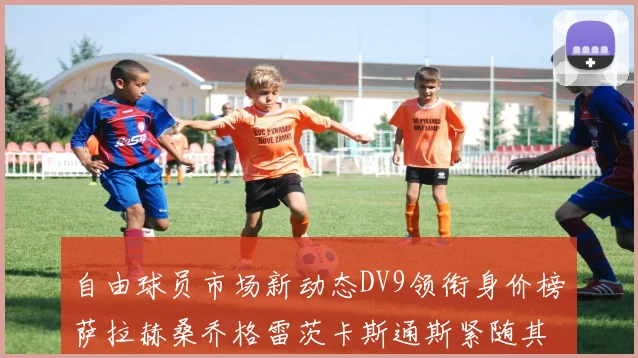 自由球员市场新动态DV9领衔身价榜萨拉赫桑乔格雷茨卡斯通斯紧随其后
