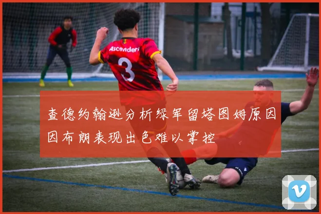 查德约翰逊分析绿军留塔图姆原因因布朗表现出色难以掌控